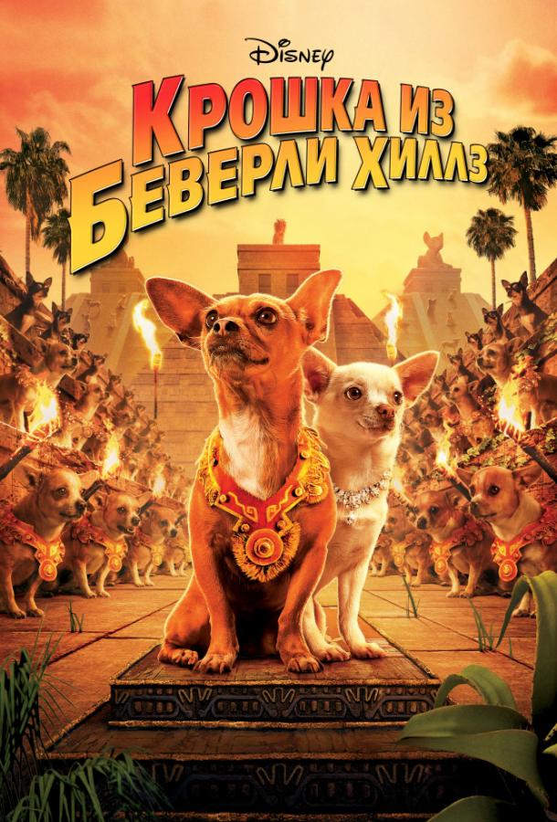 Фильм Крошка из Беверли-Хиллз (2008) смотреть онлайн